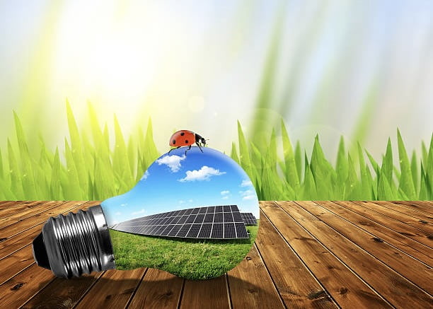Eco light bulb on wooden board. Green energy concept.